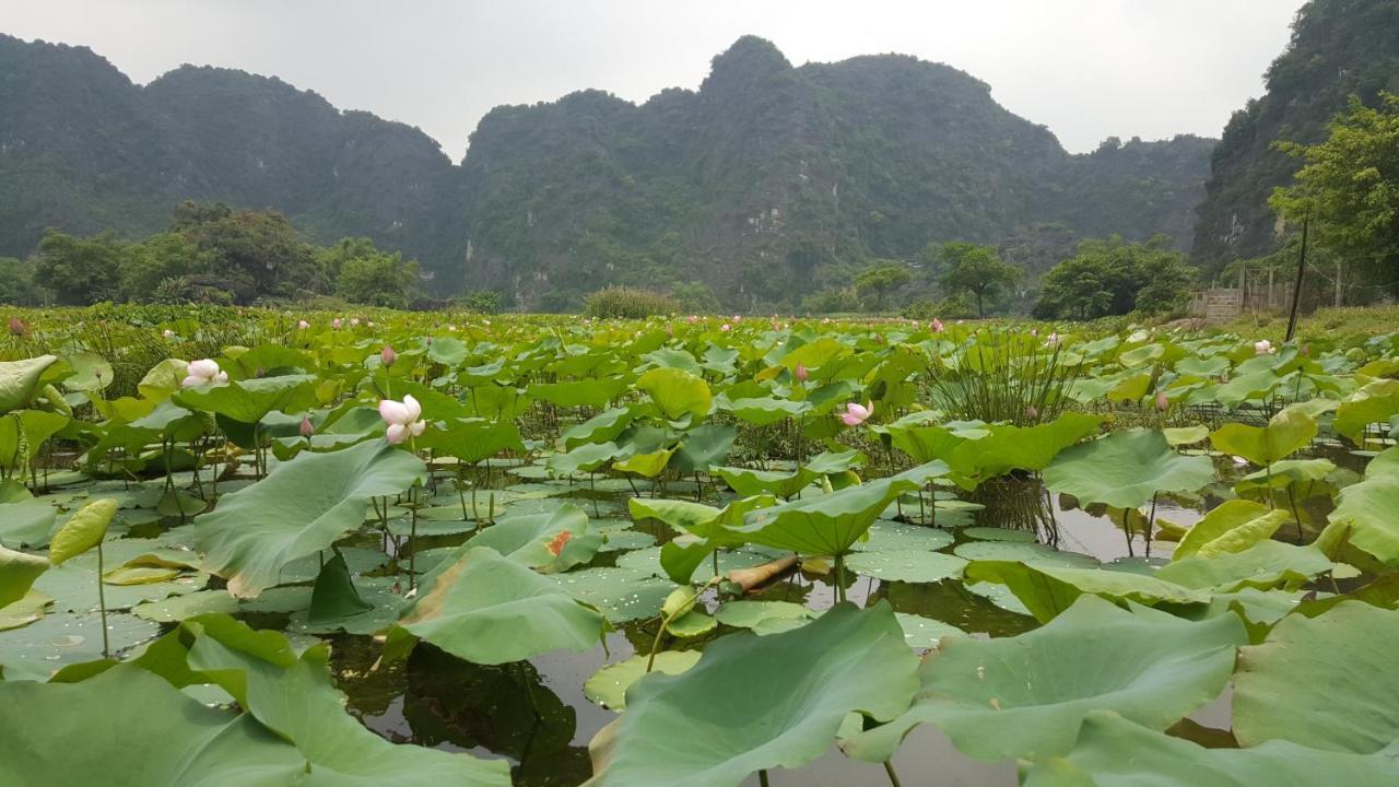 Hoalu Ecolodge Homestay Ninh Binh Exterior foto